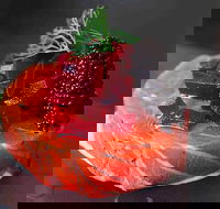 Tapas Tapas Bodega - Seniors Australia