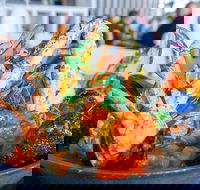 Enigma - Seniors Australia