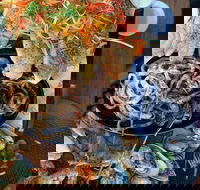 Ace's Ocean Foods - Seniors Australia