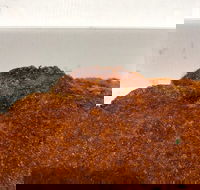 Pizza On Lomond - Seniors Australia