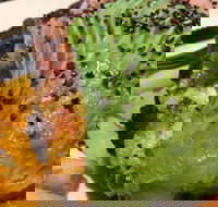 Lone Pine Tavern - Seniors Australia