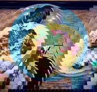 The New Civic - Seniors Australia