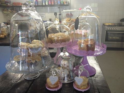 Tracie's Cafe - Seniors Australia 0