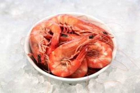 Blue Wave Seafood - Seniors Australia 0