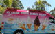 Dalmeny Ice Creams A Plenty - thumb 0