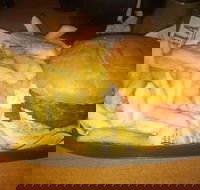 Finn Co Cafe - Seniors Australia