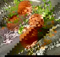 Ollie Masons Cafe - Seniors Australia