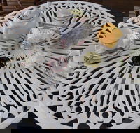 Eumun-Tea - Seniors Australia