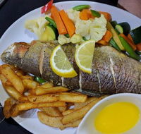 Terracotta - Seniors Australia