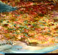 Al Pesto - Seniors Australia