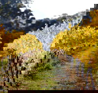 Prickly Moses Brewery - Seniors Australia