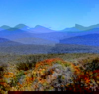 Arcadia Wines - Seniors Australia