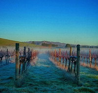 Eastern Peake Winery - Seniors Australia