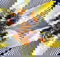 Food Business  Chapel Hill - Seniors Australia