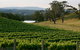 Granite Hills Winery - thumb 0