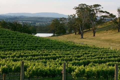 Granite Hills Winery - Seniors Australia 0