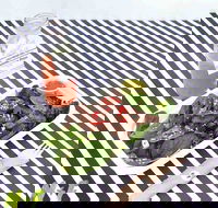 Nourish and Feed - Seniors Australia