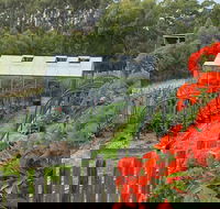 Hot Chilli Mama - Seniors Australia