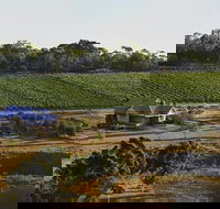 Spence Wines - Seniors Australia