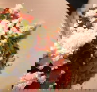 Hub Cafe Kitchen - Seniors Australia