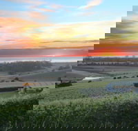Cape Bernier Vineyard - Seniors Australia