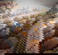 Pompadours Chocolate House - Seniors Australia