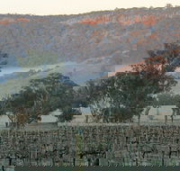 Wilksch Estate Wines - Seniors Australia