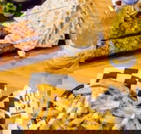 Little Bad Wolf - Seniors Australia