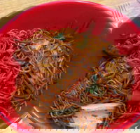 Noodle World - Seniors Australia