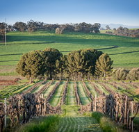 Heritage Wines - Seniors Australia