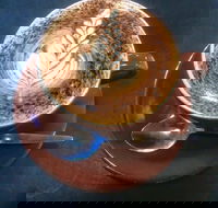 Piemonte Cafe - Seniors Australia