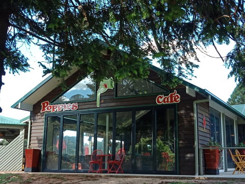 Poppies  Cafe - Seniors Australia 0