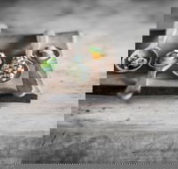 The Currant Shed - Seniors Australia