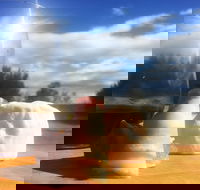 Fork it Farm - Seniors Australia