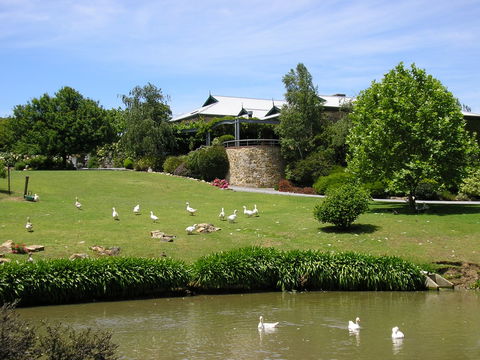 Geoff Merrill Wines - Seniors Australia 1