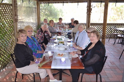 Lyndoch Lavender Farm Cafe - Seniors Australia 0