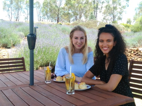 Lyndoch Lavender Farm Cafe - Seniors Australia 1