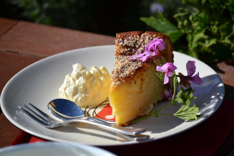 Lyndoch Lavender Farm Cafe - Seniors Australia 2