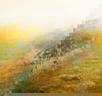 Poonawatta - Seniors Australia