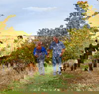 WayWood Wines - Seniors Australia