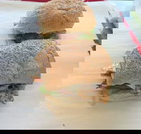 Taylor's Seafood - Seniors Australia