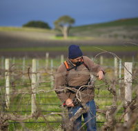 Kurtz Family Vineyards - Seniors Australia