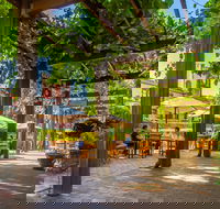 Yalumba - Seniors Australia