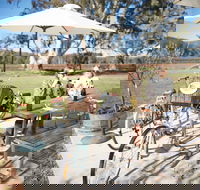 Dal Zotto Wines Cellar Door - Seniors Australia