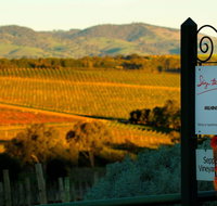 Seize the Day Wines - Seniors Australia