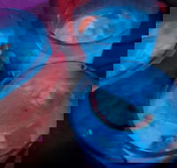 Humming Bird Dutch Cakes - Seniors Australia