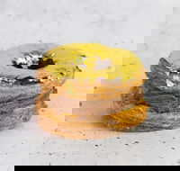 Goldeluck's Bakeshop - Croydon - Seniors Australia