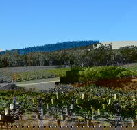 Twisted River Wines - Seniors Australia