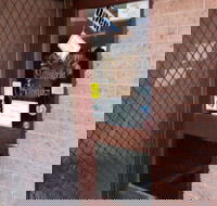 Schwarz Bakehaus - Seniors Australia