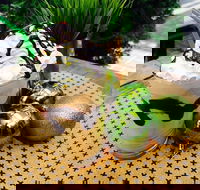 Food.Drink - Seniors Australia